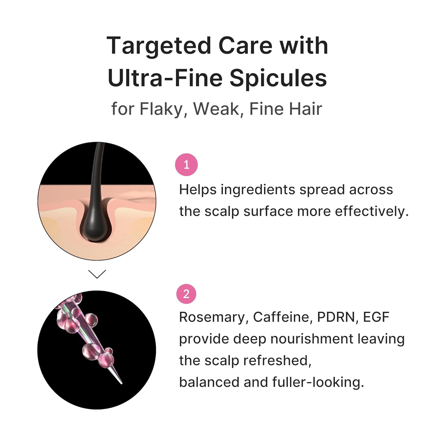 Rosemary Hair Care Set